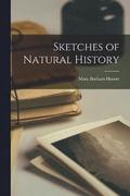 Sketches of Natural History