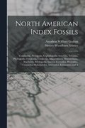 North American Index Fossils