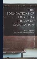 The Foundations of Einstein's Theory of Gravitation
