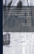 Brain From ape to man; a Contribution to the Study of the Evolution and Development of the Human Brain