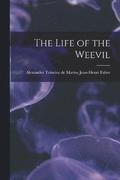 The Life of the Weevil