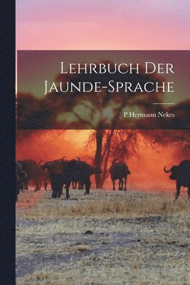 P Hermann Nekes - Lehrbuch der Jaunde-Sprache, Häftad