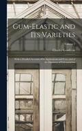 Gum-Elastic and Its Varieties