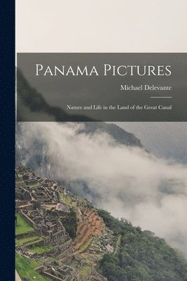 Michael Delevante - Panama Pictures, Häftad