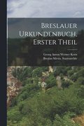 Breslauer Urkundenbuch, Erster Theil