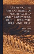 A Review of the Fossil Ostreid of North America and a Comparison of the Fossil With the Living Forms