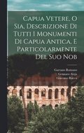 Capua Vetere, o sia, Descrizione di tutti i monumenti di Capua antica, e particolarmente del suo nob