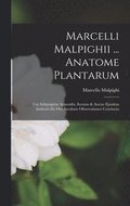Marcelli Malpighii ... Anatome Plantarum