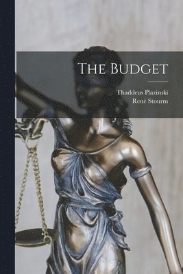 René Stourm, Thaddeus Plazinski - Budget, Häftad. Tillgänglighet: Lägg i varukorg