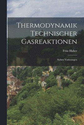Fritz Haber - Thermodynamik Technischer Gasreaktionen, Häftad