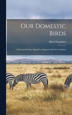 Alfred Saunders - Our Domestic Birds, Inbunden. Tillgänglighet: Lägg i varukorg