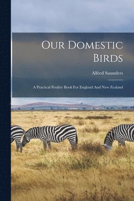 Alfred Saunders - Our Domestic Birds, Häftad. Tillgänglighet: Lägg i varukorg