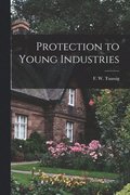 Protection to Young Industries