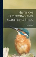 Hints on Preserving and Mounting Birds
