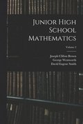 Junior High School Mathematics; Volume 2