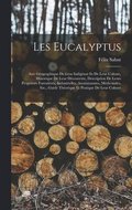 Les Eucalyptus