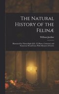 The Natural History of the Felin