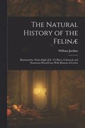 The Natural History of the Felin