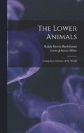 Lower Animals; Living Invertebrates of the World