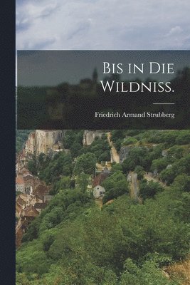 Friedrich Armand Strubberg - Bis in die Wildniß., Häftad
