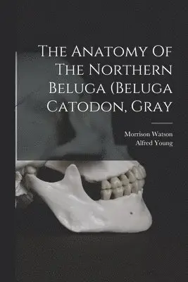 Morrison Watson, Alfred Young - Anatomy Of The Northern Beluga (beluga Catodon, Gray, Häftad. Tillgänglighet: Lägg i varukorg