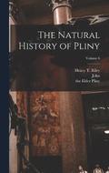 The Natural History of Pliny; Volume 6