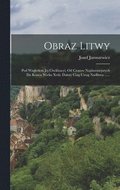 Obraz Litwy