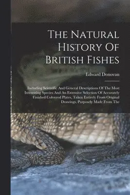 Natural History Of British Fishes