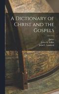 A Dictionary of Christ and the Gospels