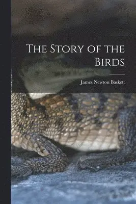 Story of the Birds