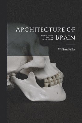 William Fuller - Architecture of the Brain, Häftad