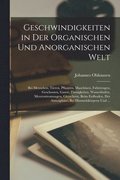 Geschwindigkeiten in Der Organischen Und Anorganischen Welt