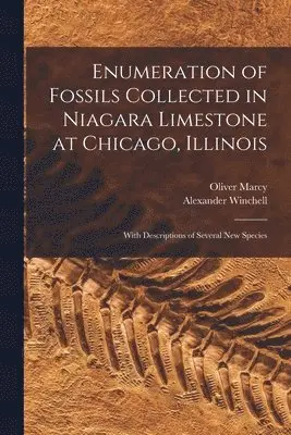 Enumeration of Fossils Collected in Niagara Limestone at Chicago, Illinois; With Descriptions of Several new Species