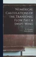 Numerical Calculations of the Transonic Flow Past a Swept Wing