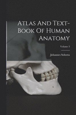 Johannes Sobotta - Atlas And Text-book Of Human Anatomy; Volume 3, Häftad