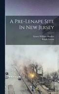 Pre-lenape Site In New Jersey