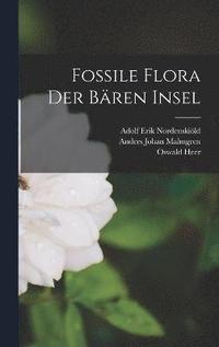 Fossile Flora Der Bren Insel