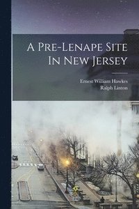 Pre-lenape Site In New Jersey