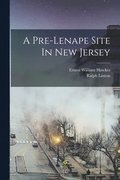 A Pre-lenape Site In New Jersey