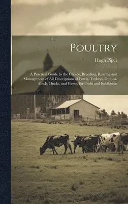 Hugh Piper - Poultry; a Practical Guide to the Choice, Breeding, Rearing and Management of all Descriptions of Fowls, Turkeys, Guinea-fowls, Ducks, and Geese, for Profit and Exhibition, Inbunden. Tillgänglighet: Lägg i varukorg