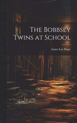 Bobbsey Twins at School