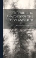 The Artistic Anatomy Of The Dog And Deer