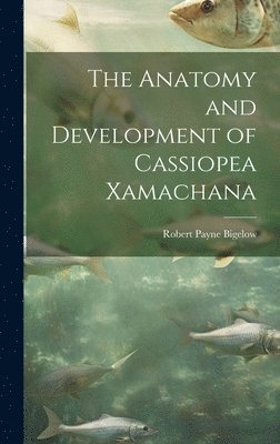 Robert Payne Bigelow - Anatomy and Development of Cassiopea Xamachana, Inbunden. Tillgänglighet: Lägg i varukorg