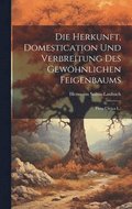 Herkunft, Domestication Und Verbreitung Des Gewhnlichen Feigenbaums