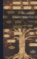 Norske Gaardnavne