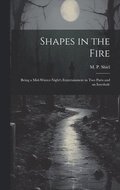 Shapes in the Fire