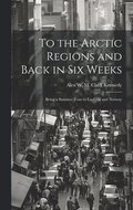 To the Arctic Regions and Back in six Weeks