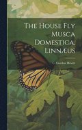 The House fly Musca Domestica, Linnus