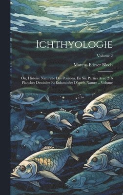 Marcus Elieser Bloch - Ichthyologie; ou, Histoire naturelle des poissons. En six parties avec 216 planches dessinées et enluminées d'après nature .. Volume; Volume 2, Inbunden