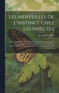 Les Merveilles De L'instinct Chez Les Insectes